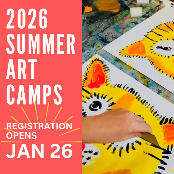2026 Summer camp promo